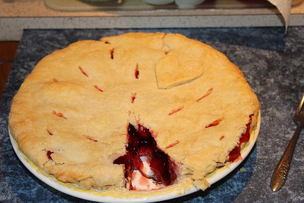 New Camera Dec2010 122